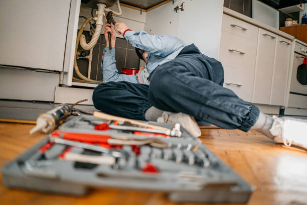 Best Clogged Drain Plumber  in Westlake Vlage, IL