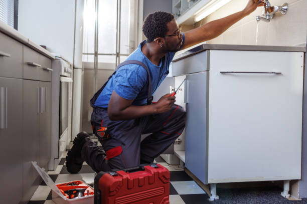 Best Commercial Plumbing Services  in Westlake Vlage, IL